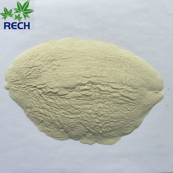 Wet-process Ferrous Sulphate Monohydrate Powder