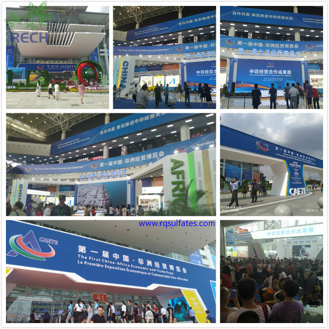 The First China-Africa Economic and Trade Expo opened in Changsha