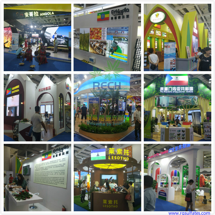 China-Africa-Economic-and-Trade-Expo2